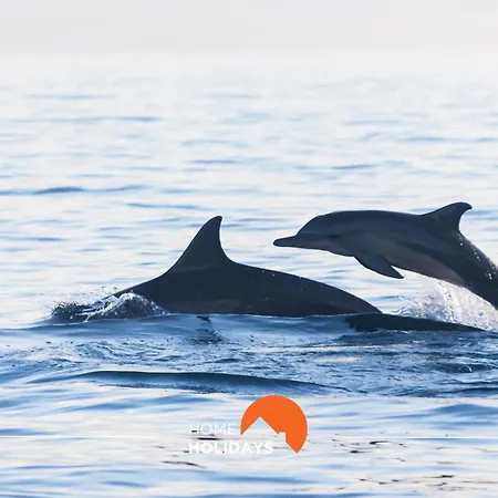 #185 V3 Laranjeiras By Holidays * Albufeira